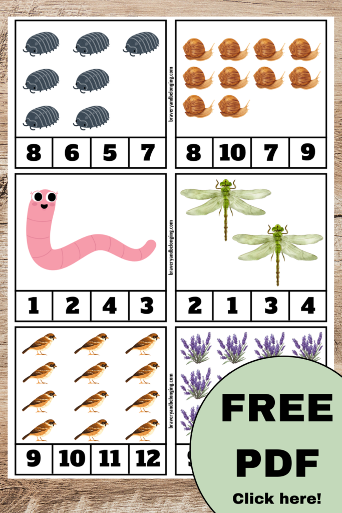 Pin shows image of nature count and clip cards for nature counting activities. Text reads, free pdf click here!