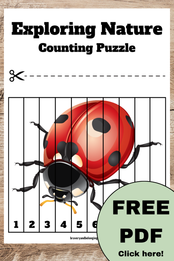 An image of a ladybird printable counting puzzle 1-10 and the text free pdf click here.