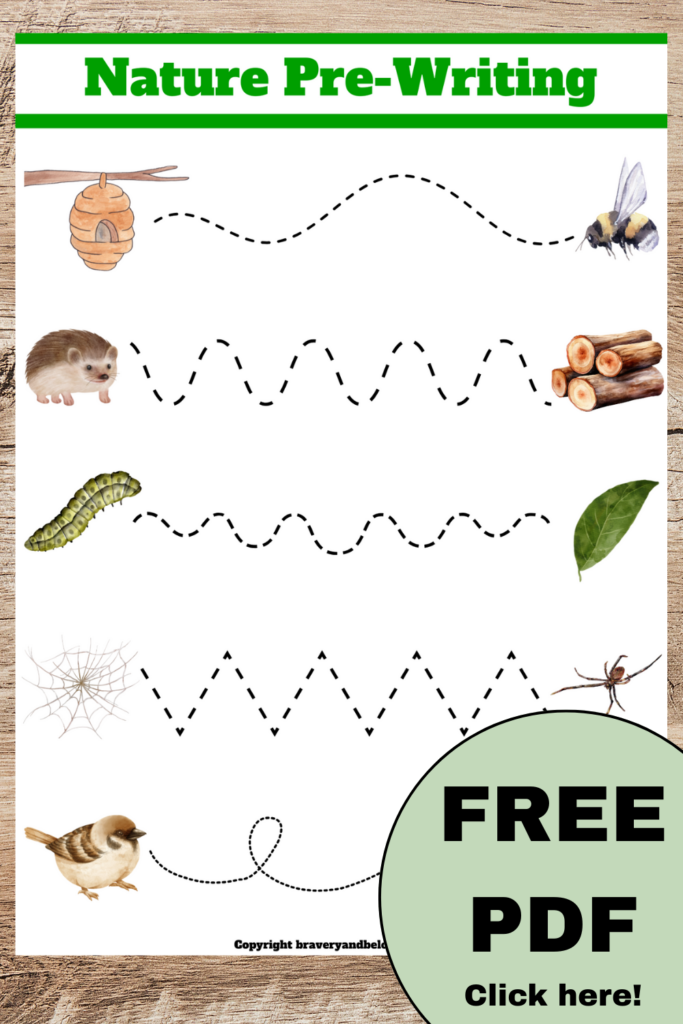 Pin has text free pdf click here on it and an image of the preschool pre-writing worksheet.