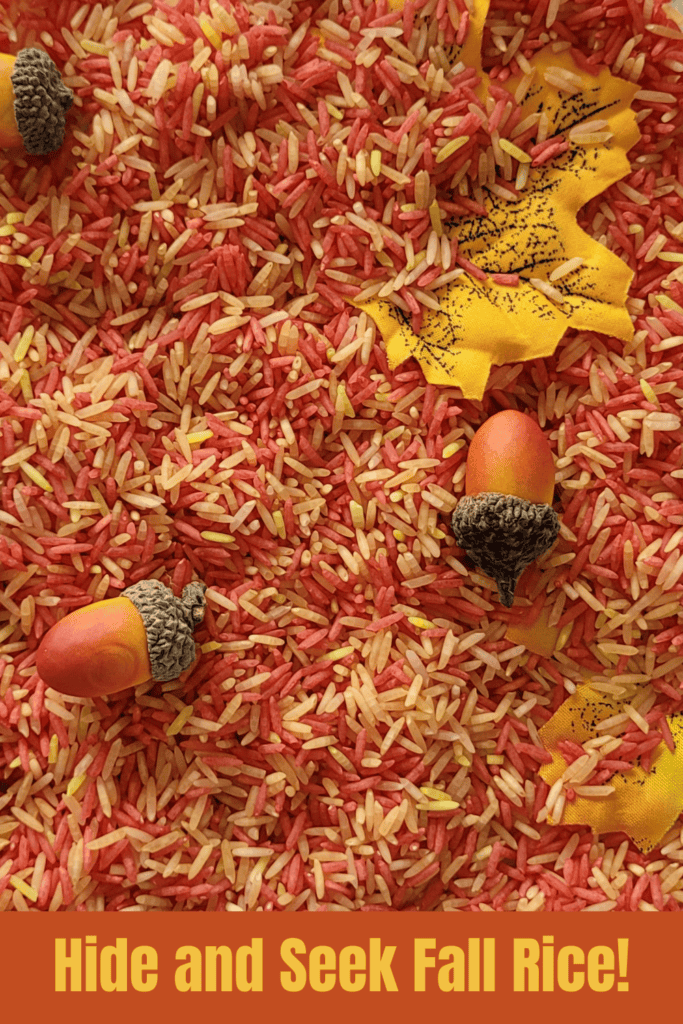 Pin text reads, hide and seek fall rice and shows an image of dyed rice in yellow, orange, red and brown mixed together with acorns, and fall leaves hidden in it.